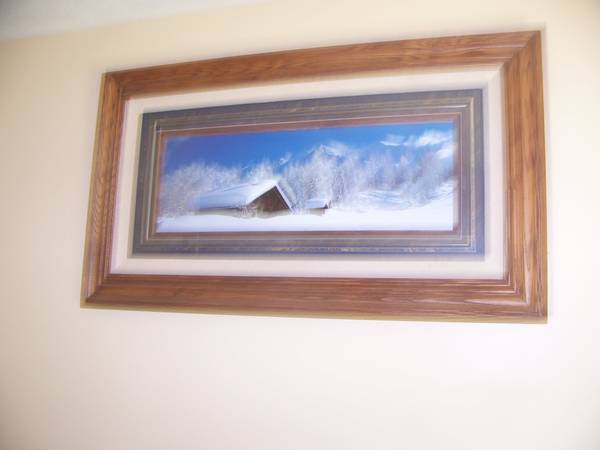 Large Framed Picture 1