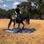 5 y/o mustang mare trail horse lesson horse 3 thumbnail