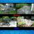 ➤ -  Yard Cleanup - Property Maintenance - Power Washing - Painting -- 18 thumbnail