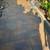 landscaping and general yard clean up and construction  services 19 thumbnail