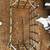 Hand crafted coffee tables 6 thumbnail