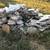 Fireplace Rock/Decorative Rock 2 thumbnail
