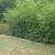 Landscaping, Lawn & Garden Art 🌿 9 thumbnail