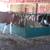 Horse and Cattle Multi-Bale hay feeders 6 thumbnail