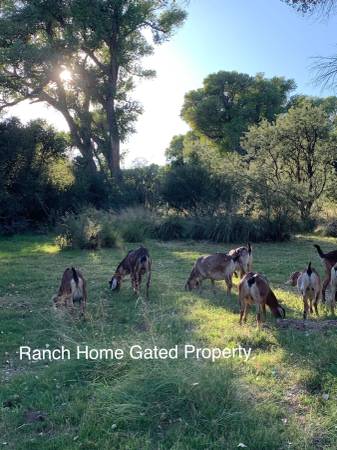 $2,959 / 3br - 2800ft2 - 3 home on gated ranch (Huachuca city)63994249021442123