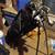 Golf bag with clubs 1 thumbnail