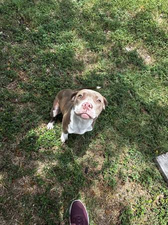 Female pit541610924888576001