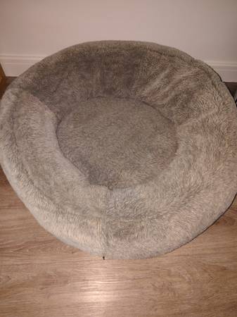 Dog/Pet bed (FREE) 1