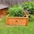 CEDAR WOOD GARDEN BEDS 14 thumbnail