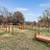 Carpeted, 1/BD, Located in St. Louis 7 thumbnail