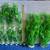 Aquarium fish tank fake plants 1 thumbnail