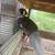 Chicks 2 thumbnail