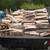 WHEEL BARROW FULL $ 25. Split Firewood   fire wood 1 thumbnail