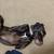 CHOCOLATE LAB HOUND MIX/5yr old female/SPAYED & CURRENT SHOTS - LOOK!! 3 thumbnail