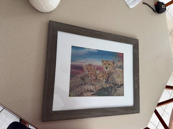 Framed 3 Image Cheetah Lenticular 1