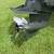 2001 Triton Tr21 3 thumbnail