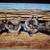 Owl boxes 8 thumbnail