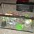 Large and Smaller Aquariums 6 thumbnail