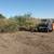 Tree pulling, storm cleanup and brush removal 1 thumbnail