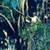Weed Abatement, Yard work. Tree service. Fire Prevention. Insured 3 thumbnail