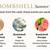 6-Piece Bombshell Summer Favorites Mini Eau de Parfum Gift Set 4 thumbnail