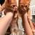 Tabby kittens 2 thumbnail