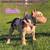 MERLE BARBIE1 BULLY PUP 4 thumbnail