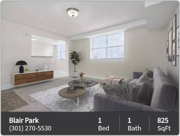 $1,399 / 1br - 825ft2 - 1 dormitorio / 1 baño en alquiler! ¡No te decepcionará! (Silver Spring - Justo fuera de Georgia Avenue)64040030066817120