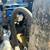 Landini Atlas 70 3 thumbnail