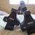 Yakima Thule roof racks, carriers etc 4 thumbnail