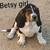 Ready, set, go: Get your Purebred Basset Hound puppy, one girl left 7 thumbnail
