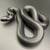 Baby Mexican Black kingsnakes 1 thumbnail