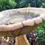 Large bird bath from Milaeger's 2 thumbnail