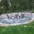 Elena's Landscaping LLC 19 thumbnail