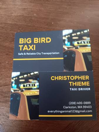 Big bird taxi 1