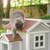Garden Cat House - Brand New Monthly Payments from $18.95 ... 1 thumbnail