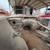1954 Corvette project Reduced Price 18 thumbnail