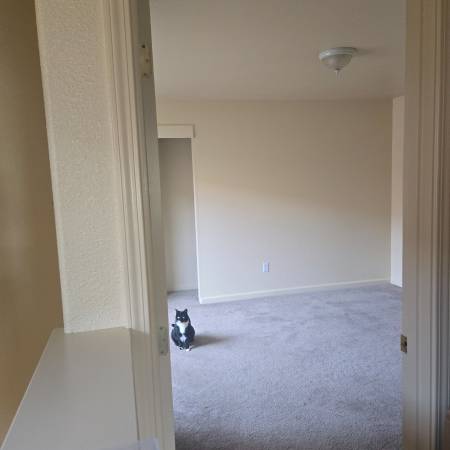 Spacious room in quiet Eureka 2-bedroom (available now) 1