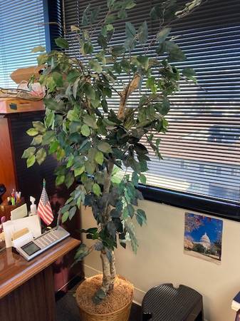 Plant - artificial 1