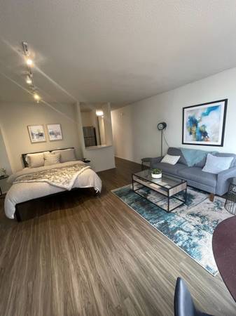 $1,850 / 529ft2 - studio in Gold Coast w ss appliances, hw floors, and pet friendly (Gold Coast)63781655052675124