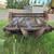 2 IH Manure Spreaders 7 thumbnail