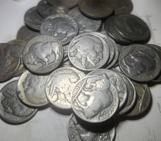 Buffalo Nickles 1