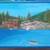 Oil paintings for sale 7 thumbnail