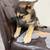 German shepherd Husky mix pups 11 thumbnail