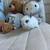 Netherland Dwarf Bunny Bunnies Rabbit 6 thumbnail