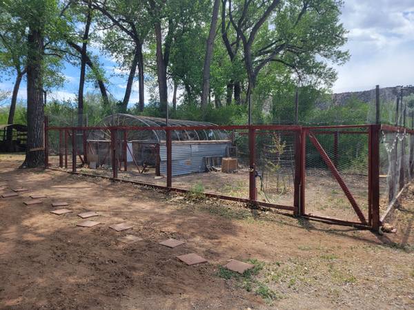 Chicken coop and run 1