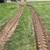 DKB LAWN CARE SERVICE & LANDSCAPING 15 thumbnail