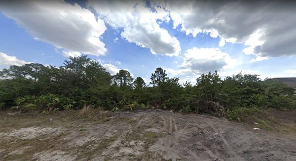 $23,000 / 10454ft2 - Beautiful property for sale and buildable (financing available) (Lehigh Acres)64151006191873120