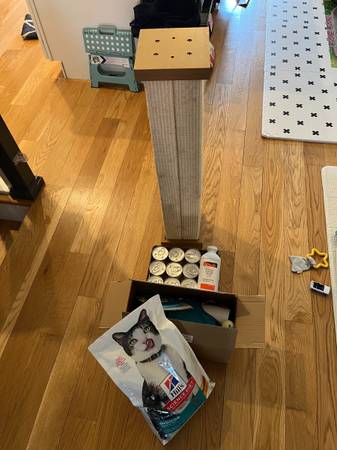 Cat stuff (food, scratching post, toys, catnip, etc) 1