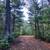 Camp or Cabin Land For Sale Castle Rock Lake / Lake Petenwell Area 1 thumbnail